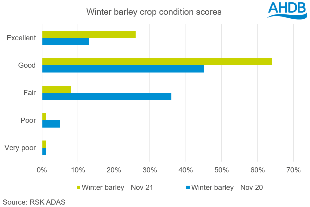 Winter barley crop condition results as of November 2021
